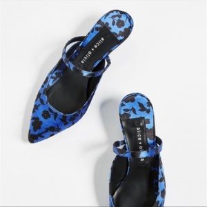 NIB Alice and Olivia kitten heels